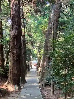 日吉神社(千葉県)