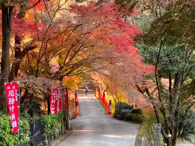 今熊野観音寺のその他建物