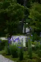 廬山寺(廬山天台講寺)の自然