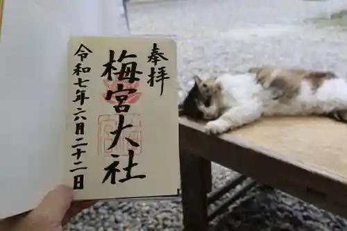 梅宮大社の御朱印
