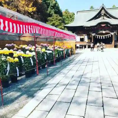 秩父神社のその他建物