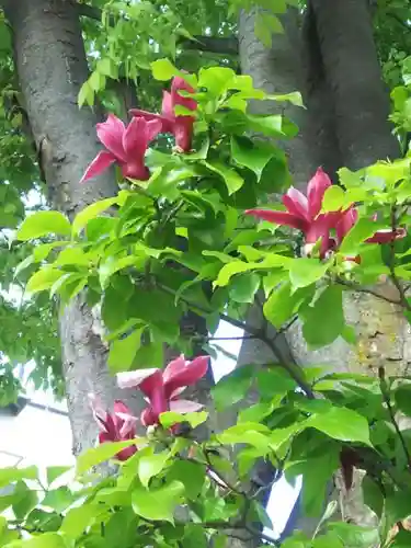 四柱神社の自然