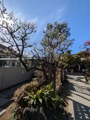 鳩森八幡神社(東京都)