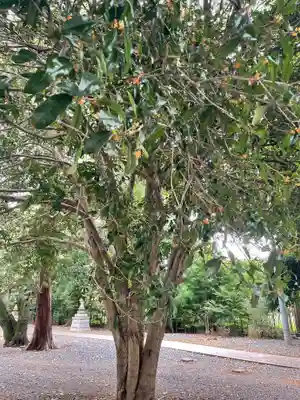 総寧寺(千葉県)