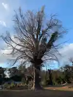 西光院(千葉県)