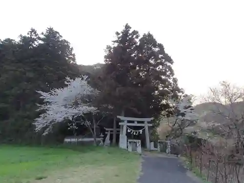 島御子神社の鳥居