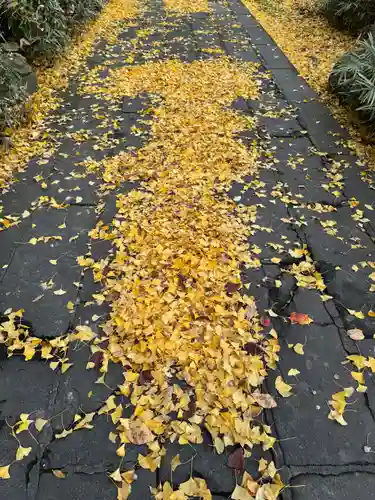 神炊館神社 ⁂奥州須賀川総鎮守⁂(福島県)