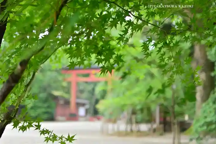 武蔵一宮氷川神社(埼玉県)