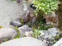 西方山極楽寺の庭園