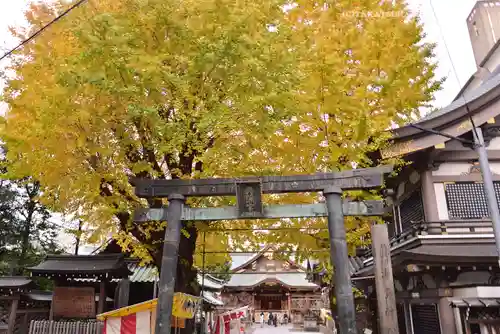 湯島天満宮(東京都)