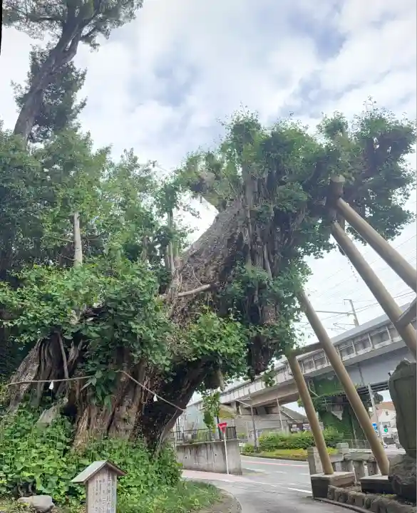 五所神社(神奈川県)