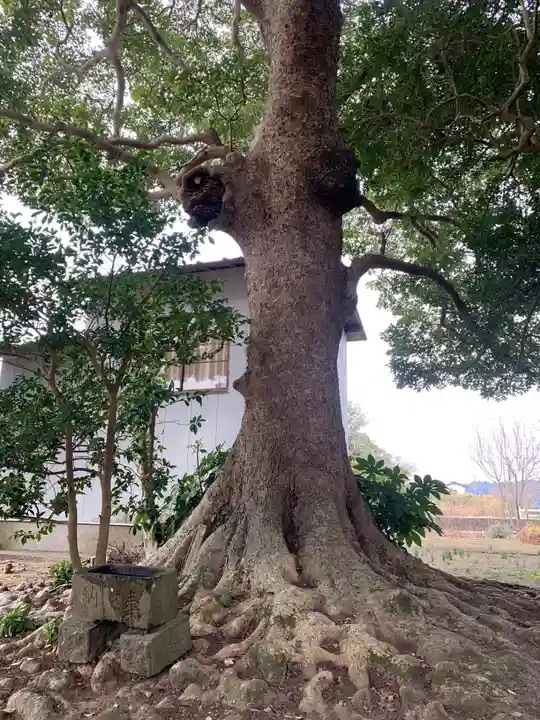 稲荷神社(千葉県)
