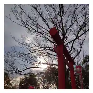 岐阜稲荷山本社(岐阜県)(2022年12月31日(土) 16時22分24秒投稿)