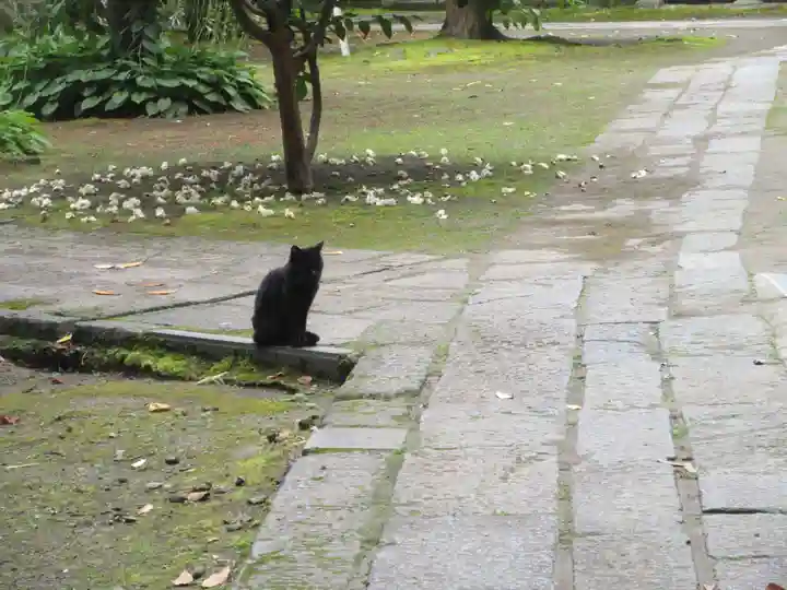 蚶満寺(秋田県)