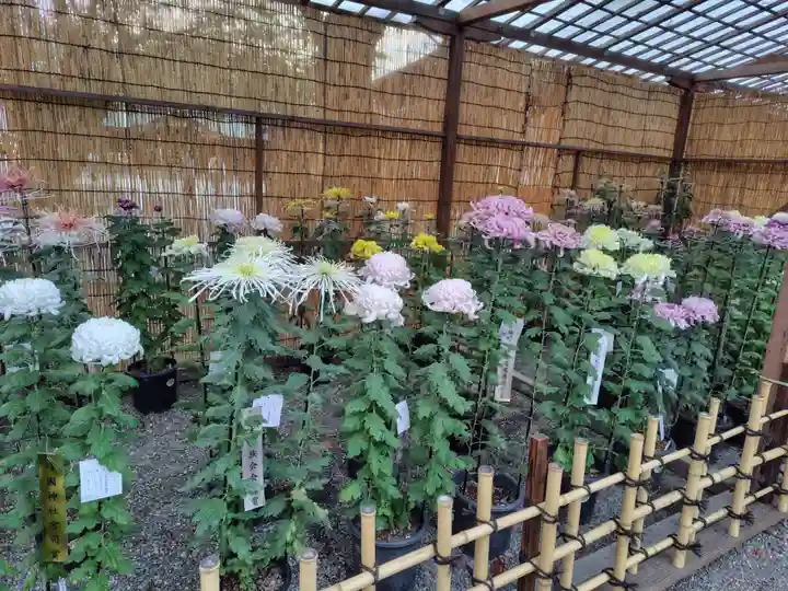 靖國神社(東京都)
