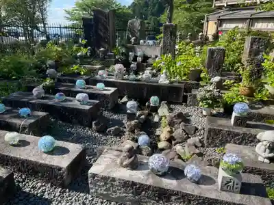 南法華寺（壷阪寺）(奈良県)