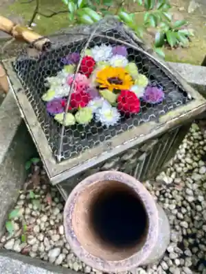 武田神社の手水舎