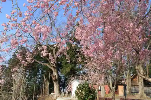 阿久津「田村神社」（郡山市阿久津町）旧社名：伊豆箱根三嶋三社の庭園