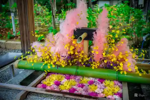 白山神社(新潟県)