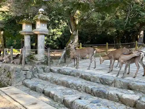 春日大社(奈良県)