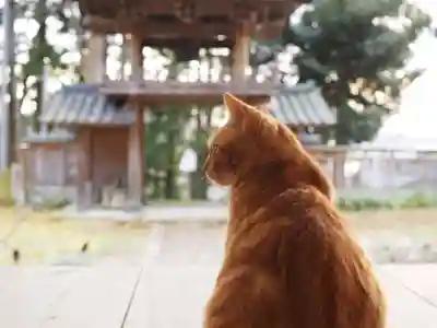 天王山 安楽寺(福井県)