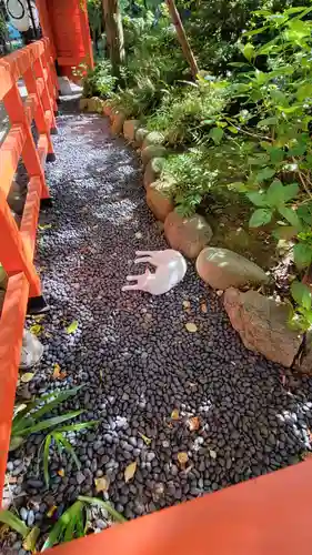 愛宕神社の動物