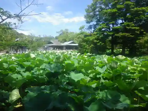 鶴岡八幡宮の庭園