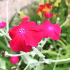 豊景神社の自然