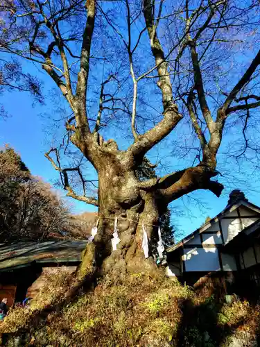 熊野皇大神社(長野県)