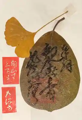 2024年の観音の里ふるさとまつりで訪れた大澤寺の御朱印ですが、入手したのはJR木ノ本駅です。
葉っぱに書かれた御朱印は初めてでした。