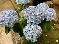 波除神社(波除稲荷神社)の手水舎