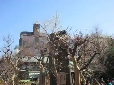 湯島天満宮(東京都)