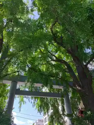 波除神社（波除稲荷神社）(東京都)