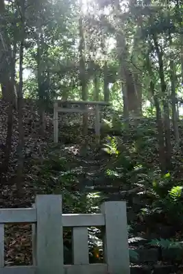 寒川神社(神奈川県)