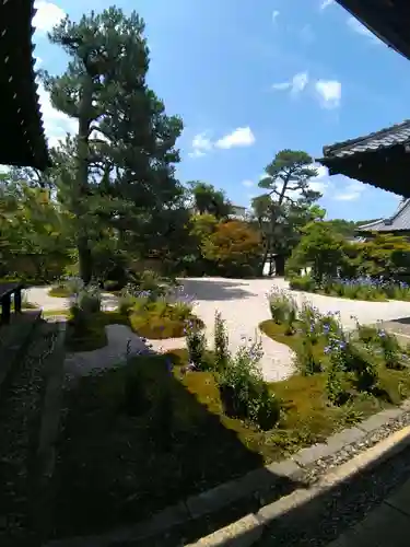 廬山寺（廬山天台講寺）(京都府)