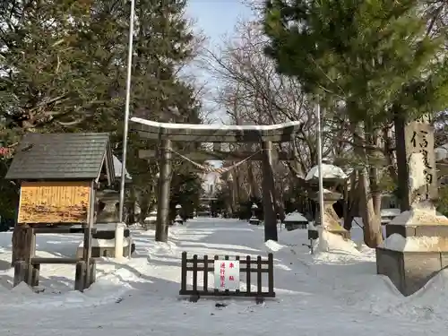 信濃神社の鳥居