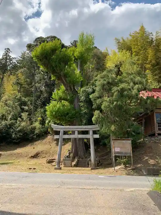 熊野神社の鳥居