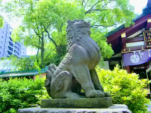 稲毛神社の狛犬