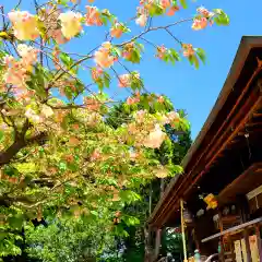 上地八幡宮の庭園