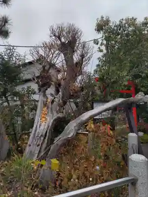 甲斐奈神社の自然