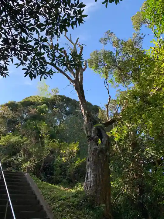熊野神社の自然