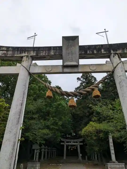 熊野神社の{uncategorized: "未分類", other: "その他", undefined: "問題あり", building: "その他建物", grave: "お墓", sacred_gate: "鳥居", guardian: "狛犬", statue: "像", buddha: "仏像", history: "歴史", nature: "自然", garden: "庭園", animal: "動物", pagoda: "塔", temizu: "手水舎", mountain_gate: "山門・神門", sanctuary: "本殿・本堂", subordinate: "末社・摂社", art: "芸術", scenery: "景色", jizo: "地蔵", ema: "絵馬", goshuin: "御朱印", omikuji: "おみくじ", items: "授与品その他", amulet: "お守り", goshuincho: "御朱印帳", eats: "食事", festival: "お祭り", votive_dance: "神楽", shichigosan: "七五三参", wedding: "結婚式", experience: "体験その他", initially: "初詣", around: "周辺", anti_infection: "感染症対策"}