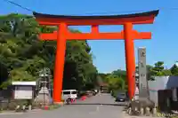 津島神社の鳥居