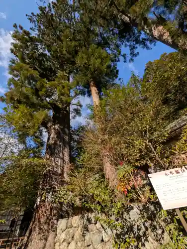 丹生川上神社（中社）の{uncategorized: "未分類", other: "その他", undefined: "問題あり", building: "その他建物", grave: "お墓", sacred_gate: "鳥居", guardian: "狛犬", statue: "像", buddha: "仏像", history: "歴史", nature: "自然", garden: "庭園", animal: "動物", pagoda: "塔", temizu: "手水舎", mountain_gate: "山門・神門", sanctuary: "本殿・本堂", subordinate: "末社・摂社", art: "芸術", scenery: "景色", jizo: "地蔵", ema: "絵馬", goshuin: "御朱印", omikuji: "おみくじ", items: "授与品その他", amulet: "お守り", goshuincho: "御朱印帳", eats: "食事", festival: "お祭り", votive_dance: "神楽", shichigosan: "七五三参", wedding: "結婚式", experience: "体験その他", initially: "初詣", around: "周辺", anti_infection: "感染症対策"}