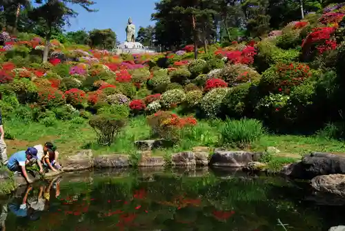 塩船観音寺の景色