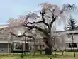 醍醐寺(京都府)