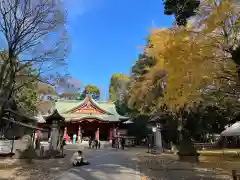 世田谷八幡宮の建物その他