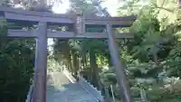 函館八幡宮の鳥居