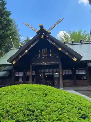 琴似神社(北海道)
