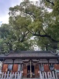 阿保神社(大阪府)(2026年05月03日(日) 13時55分49秒投稿)